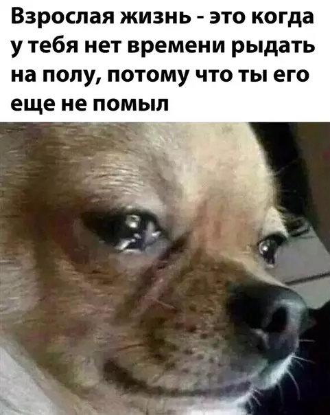 Смешная картинка №518520