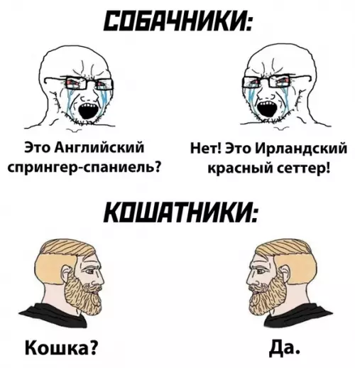 Смешная картинка №513053