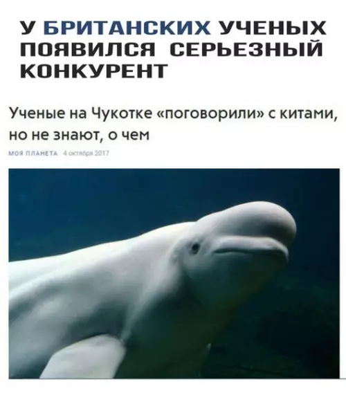 Смешная картинка №238772