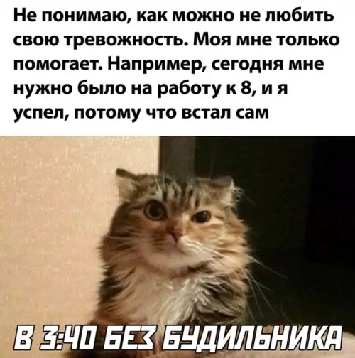 Смешная картинка №502429