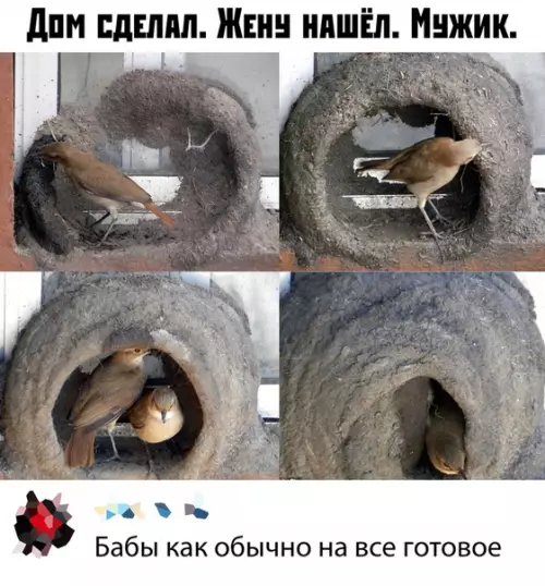 Смешная картинка №393648
