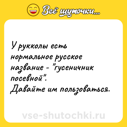 Шутка: У рукколы есть нормальное русское название - 
