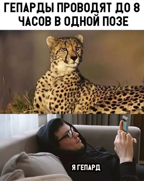 Смешная картинка №324272