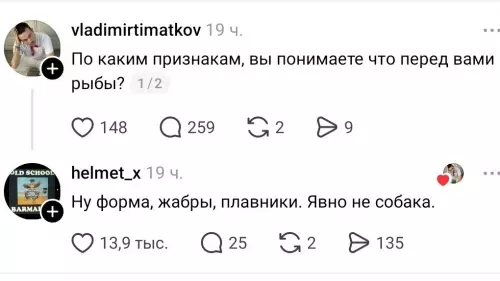 Смешная картинка №822242 В воде рыба