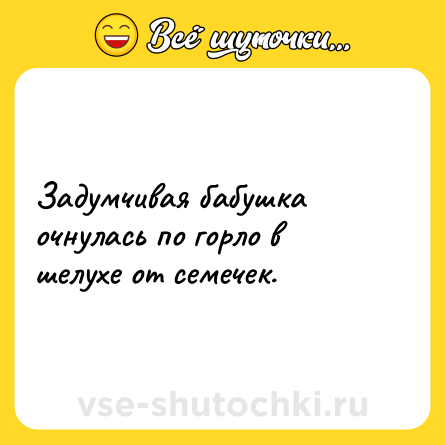 Шутка: Задумчивая бабушка очнулась по горло в шелухе от семечек.
