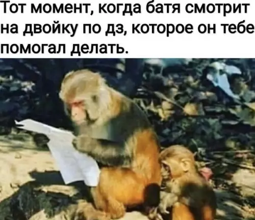 Смешная картинка №502295