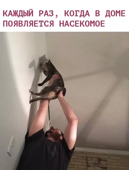 Смешная картинка №269063