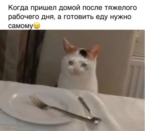 Смешная картинка №735782