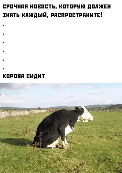 Смешная картинка №369952 животные