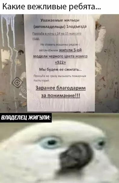 Смешная картинка №494915