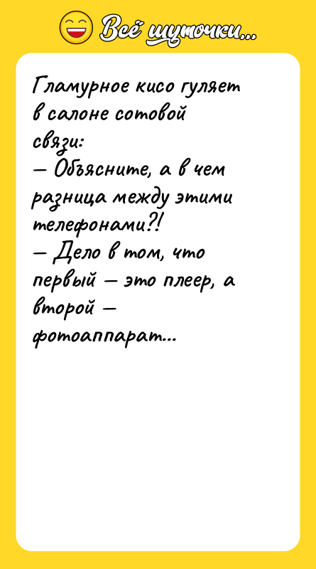 Гламурное кисо гуляет в салоне сотовой связи: Объясните, а