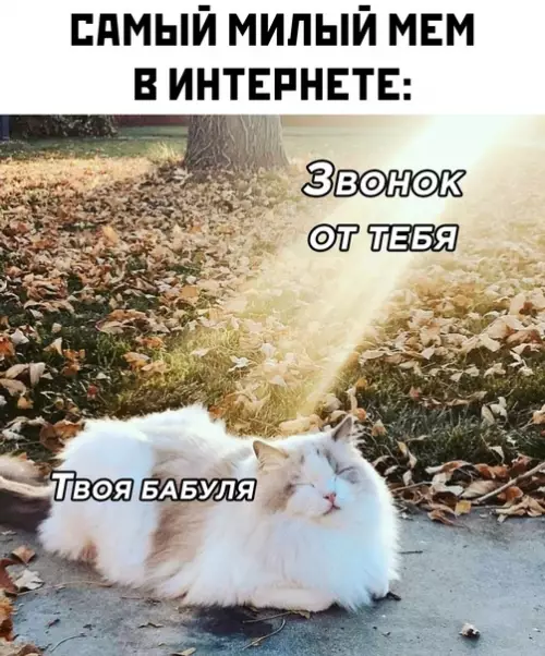 Смешная картинка №582655