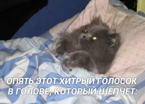 Смешная картинка №518931