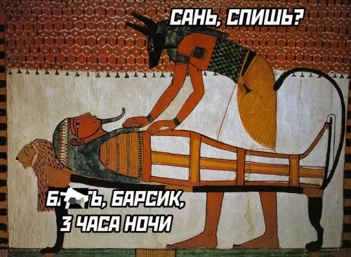 Смешная картинка №665906 И так каждую ночь коты