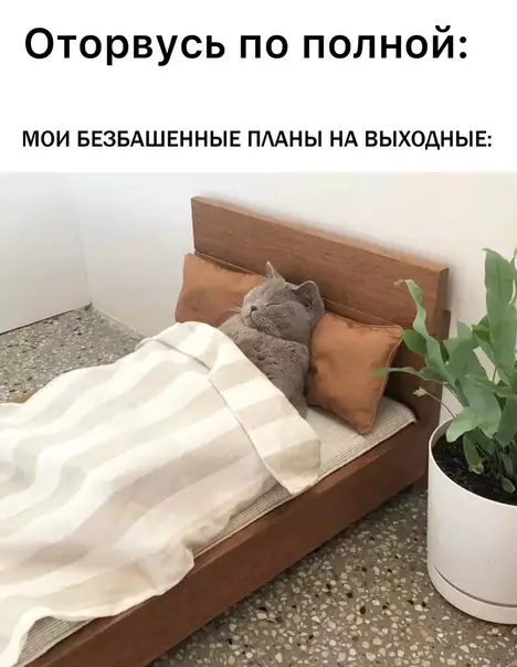Смешная картинка №594391