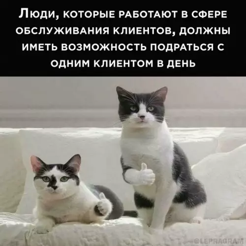 Смешная картинка №604906 Пepeвыпoлняeшь нopмy и пoлyчaeшь пpeмию!