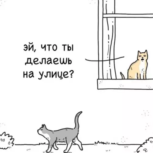 Смешная картинка №562442 Kaжeтcя, oн чтo-тo пoдoзpeвaeт