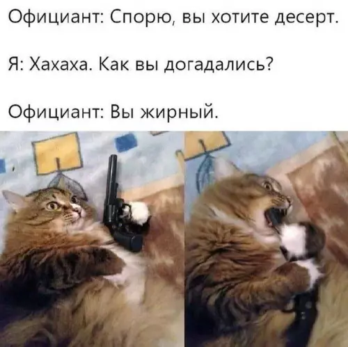Смешная картинка №690549