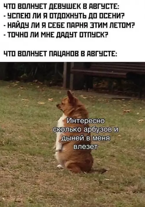 Смешная картинка №653242