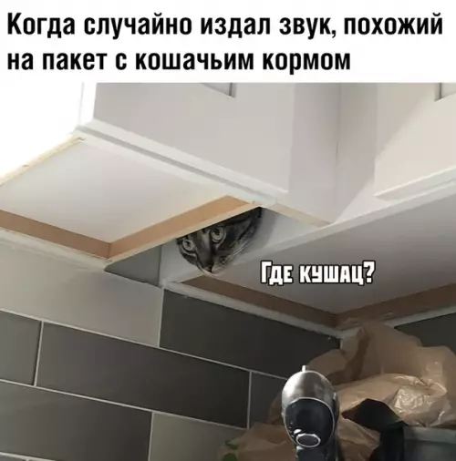 Смешная картинка №374464