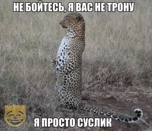 Смешная картинка №384860 #приколы #картинки #мемы ?