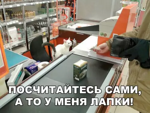 Смешная картинка №213489
