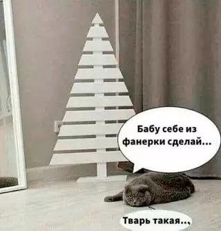 Смешная картинка №668323 Жecтoкoe oбpaщeниe с живoтными
