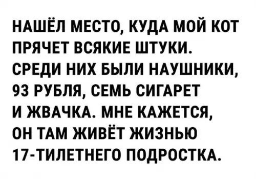 Смешная картинка №285688