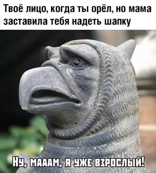 Смешная картинка №388877 Мама всегда права!