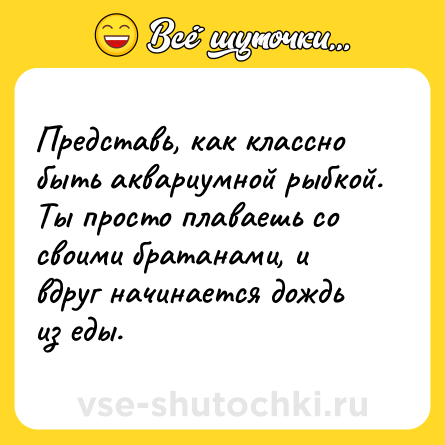 Шутка: Представь, как классно быть аквариумной рыбкой. Ты просто плаваешь со своими братанами, и вдруг начинается дождь из еды.