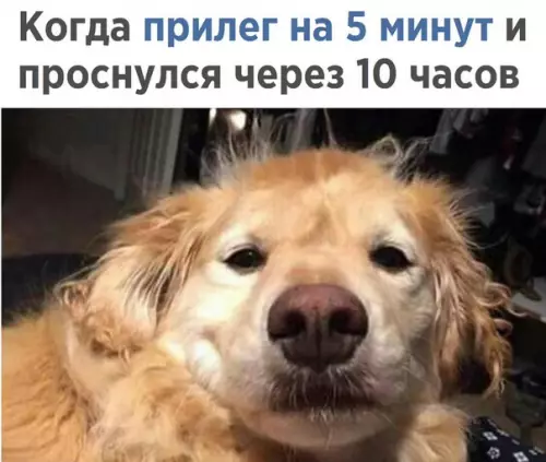 Смешная картинка №256735