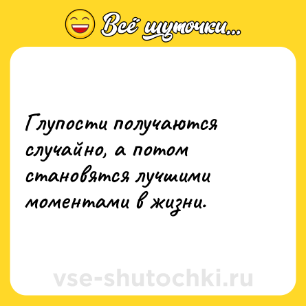 Шутка: Глупости получаются случайно, а потом становятся лучшими моментами в жизни.