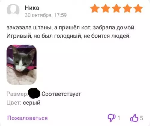 Смешная картинка №735460 Приемлемо