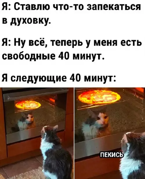 Смешная картинка №670721
