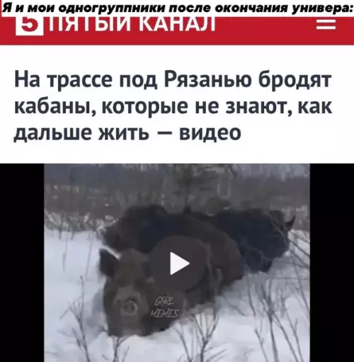 Смешная картинка №474785