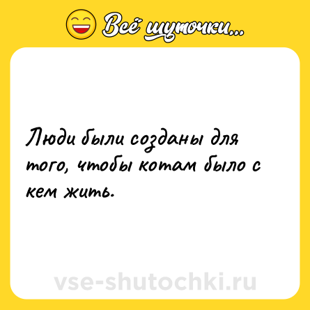 Шутка: Люди были созданы для того, чтобы котам было с кем жить.