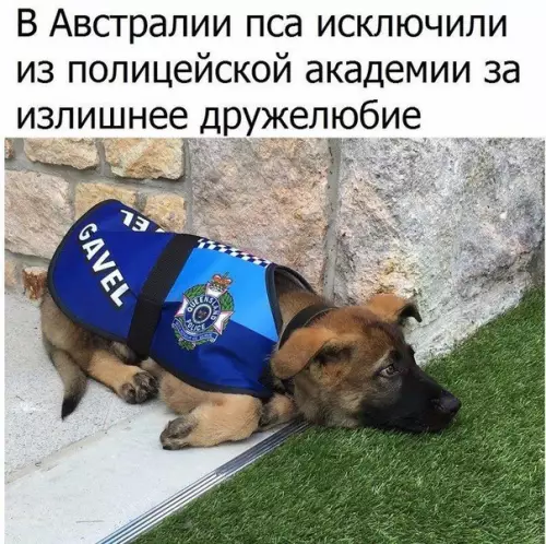 Смешная картинка №200175