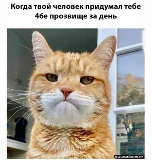 Смешная картинка №657520