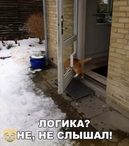 Смешная картинка №337474 #приколы #картинки #мемы ?