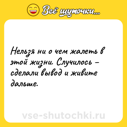 Шутка: Нельзя ни о чем жалеть в этой жизни. Случилось – сделали вывод и живите дальше.