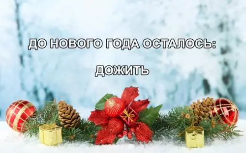 Смешная картинка №315717 новый год