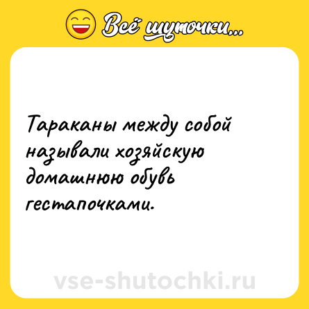 Шутка: Тараканы между собой называли хозяйскую домашнюю обувь гестапочками.