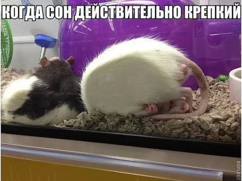 Смешная картинка №370429