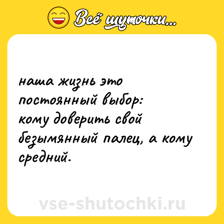 Шутка: наша жизнь это постоянный выбор:<br>кому доверить свой безымянный палец, а кому средний.