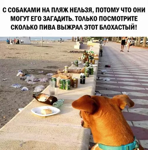 Смешная картинка №290979