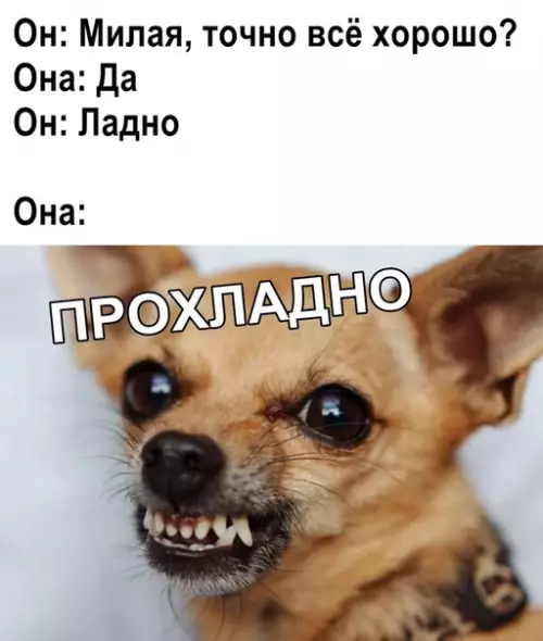 Смешная картинка №368001