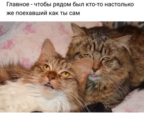 Смешная картинка №345078