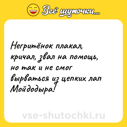 Шутка: Негритёнок плакал, кричал, звал на помощь, но так и не смог вырваться из цепких лап Мойдодыра!