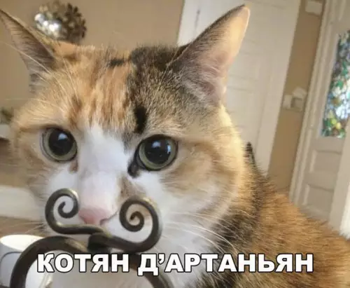 Смешная картинка №259565