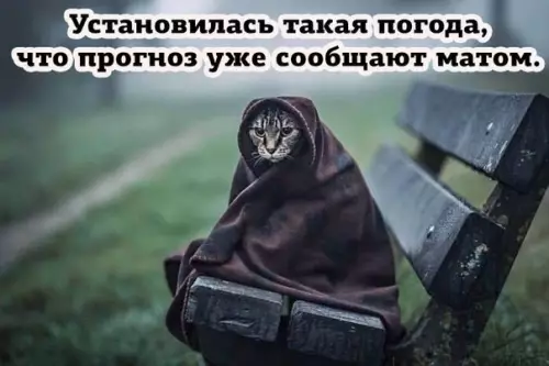 Смешная картинка №280231